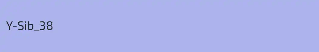 Y-Sib_38 